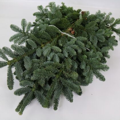 Rami abete a balletta