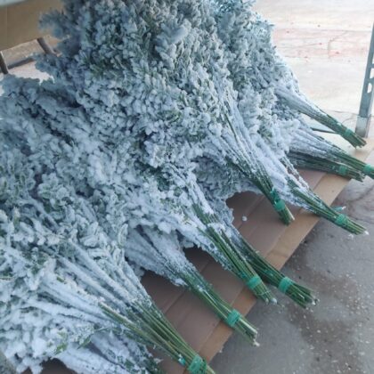 Pungitopo neve bianco